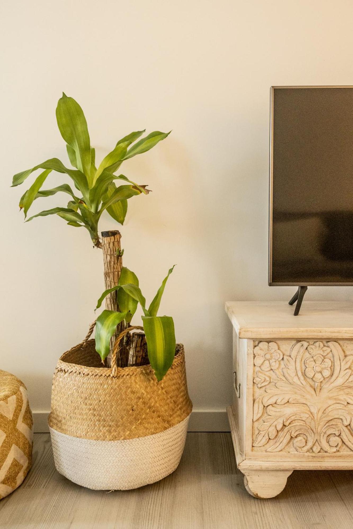 Clover House Tavira Bagian luar foto